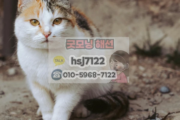 eabc2a40a2edf2927ba3066968d798fb_1764210833_3785.png