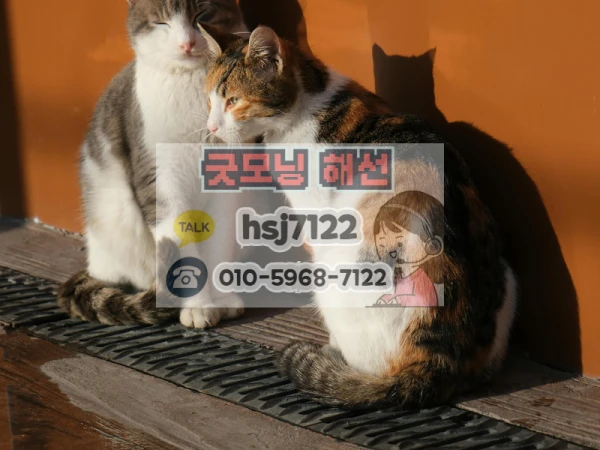 b3ad424538aba48aac06d3616dabcc43_1770695941_438.png