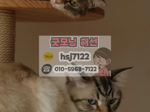 b3ad424538aba48aac06d3616dabcc43_1770695995_6245.png