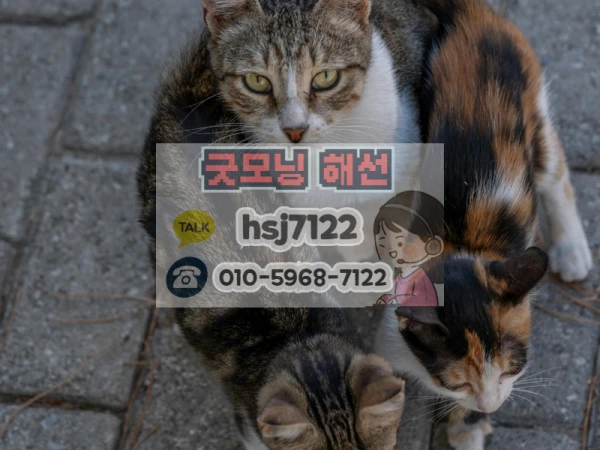 b3ad424538aba48aac06d3616dabcc43_1770695969_7084.png