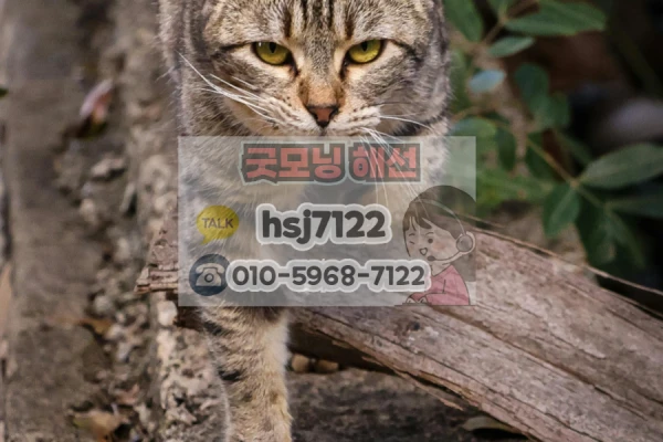 eabc2a40a2edf2927ba3066968d798fb_1764210778_871.png
