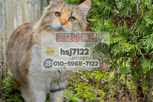 eabc2a40a2edf2927ba3066968d798fb_1764210736_879.png